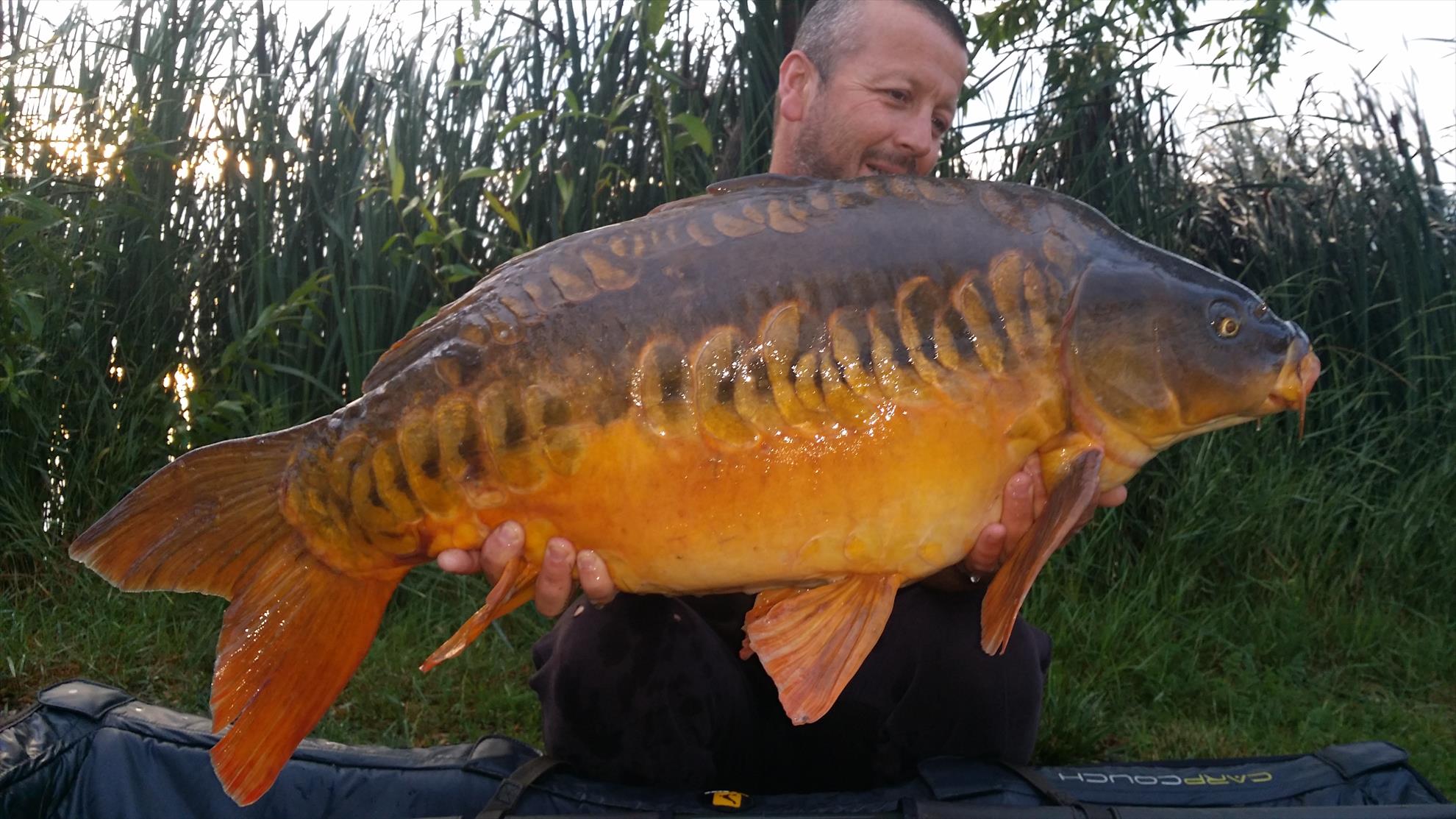 Siclau 18 - 25 iunie 2015 - 20150625060839.jpg